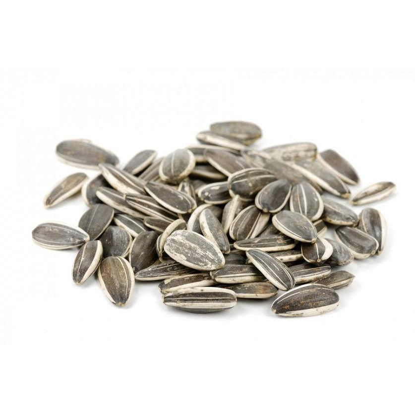plant sunflower seeds in shell In Shell Raw Sunflower Seeds