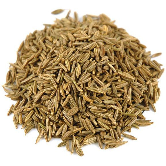 plant caraway seeds Caraway Seeds (7 oz), Caraway Seeds Spice