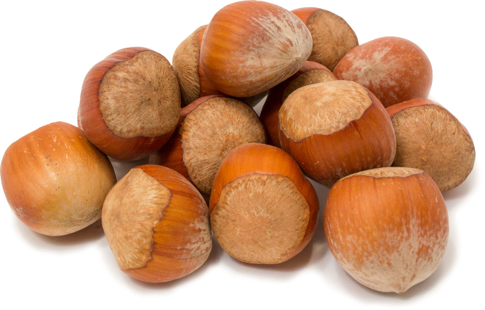 Hazelnuts (Filberts) In Shell Nuts To You